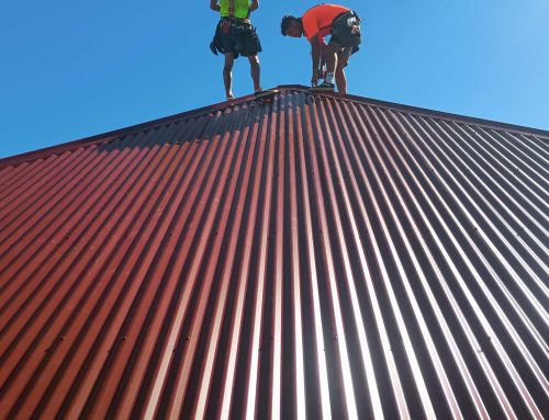 Oxley Metal Roof Replacement